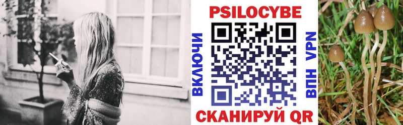 OMG tor где купить наркоту Красноуральск Псилоцибиновые грибы Psilocybe